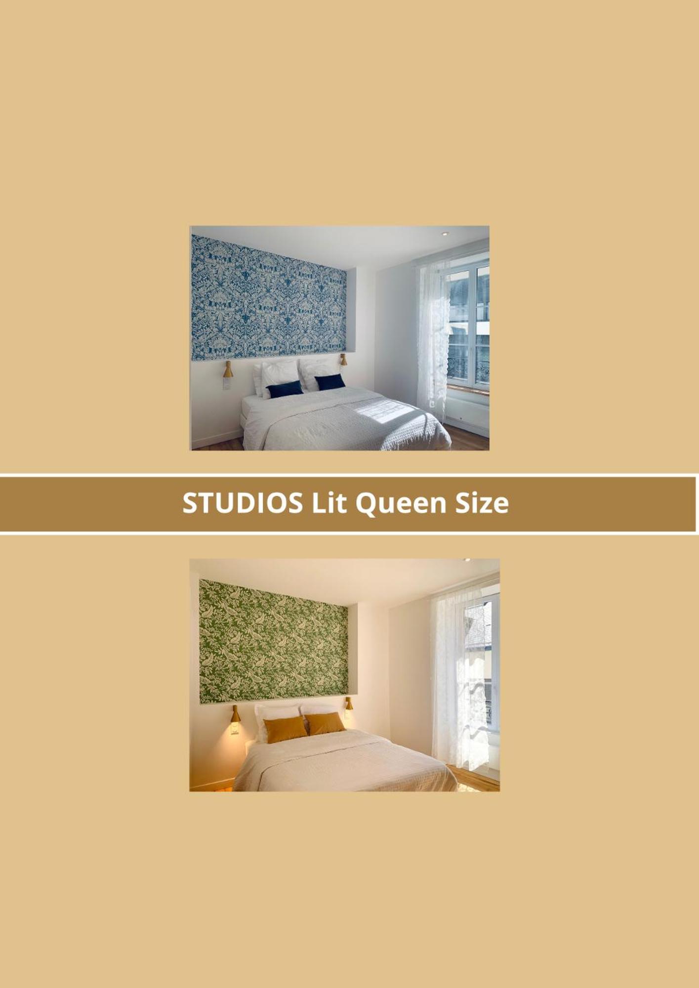 La Belle Odet' - Choix D'Appartements- Centre Ville-Quais Кемпер Экстерьер фото